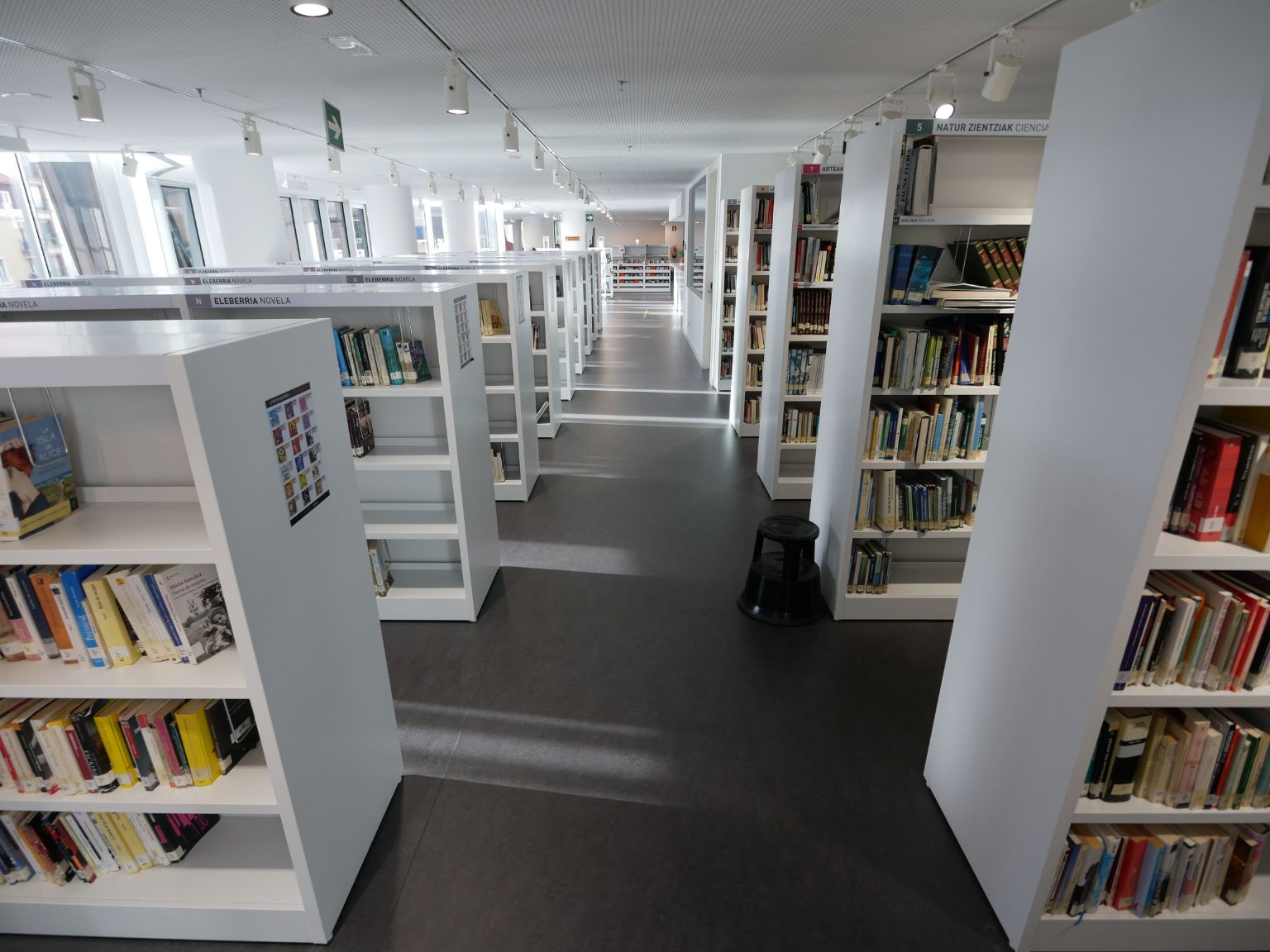 Día de las Bibliotecas